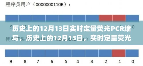 历史上的12月13日，实时定量荧光PCR缩写技术深度解析与评测报告，希望符合您的要求。