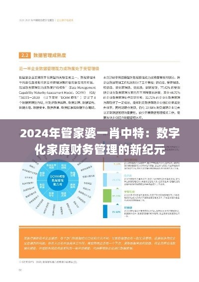 2024年管家婆一肖中特：数字化家庭财务管理的新纪元