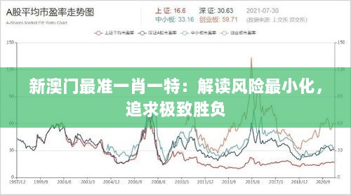 新澳门最准一肖一特：解读风险最小化，追求极致胜负