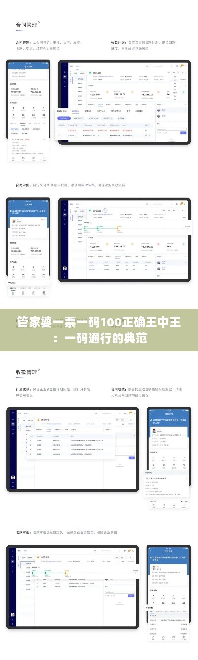 管家婆一票一码100正确王中王：一码通行的典范