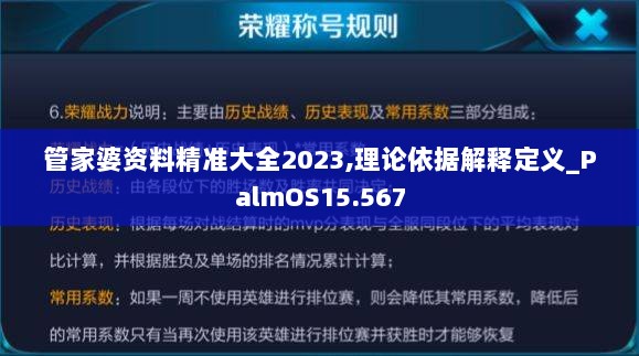 管家婆资料精准大全2023,理论依据解释定义_PalmOS15.567