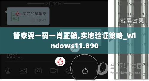 管家婆一码一肖正确,实地验证策略_Windows11.890