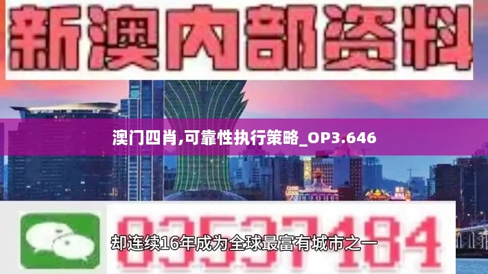 澳门四肖,可靠性执行策略_OP3.646