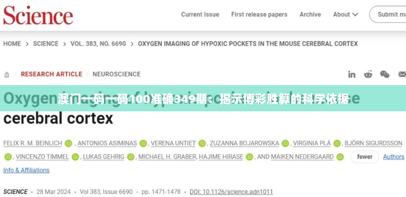 澳门一码一码100准确349期：揭示博彩胜算的科学依据