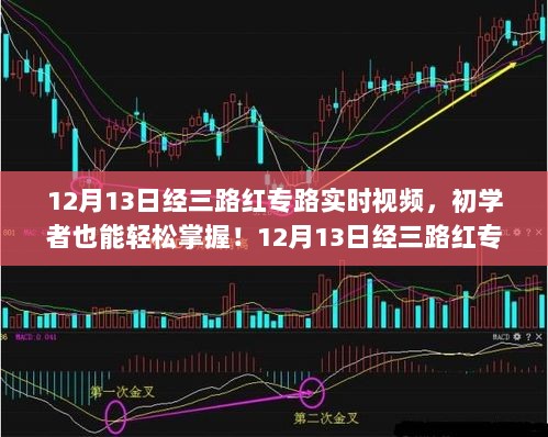 12月13日经三路红专路实时视频监控，安装与操作指南，初学者轻松掌握