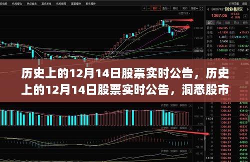 历史上的12月14日股市实时动态，洞悉风云变迁的股票公告大盘点