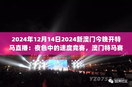 2024年12月14日2024新澳门今晚开特马直播：夜色中的速度竞赛，澳门特马赛事的独特魅力