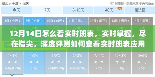 实时班表查看指南，掌握指尖尽在掌握，深度评测应用助你轻松查看班表动态