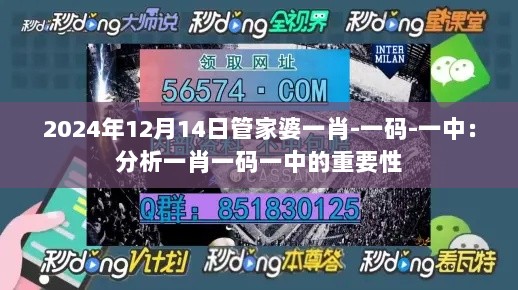 2024年12月14日管家婆一肖-一码-一中：分析一肖一码一中的重要性