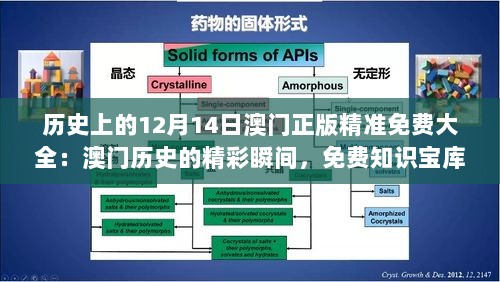 历史上的12月14日澳门正版精准免费大全：澳门历史的精彩瞬间，免费知识宝库