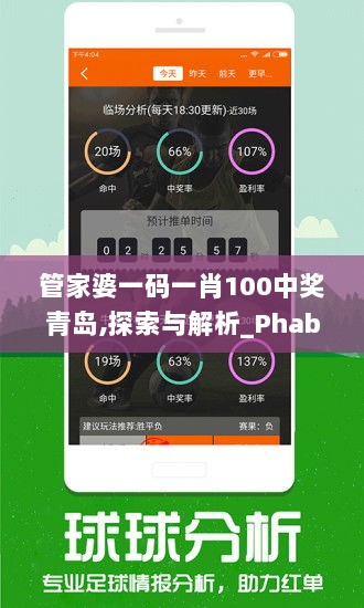 管家婆一码一肖100中奖青岛,探索与解析_Phablet13.212