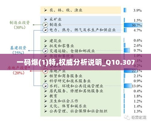 一码爆(1)特,权威分析说明_Q10.307