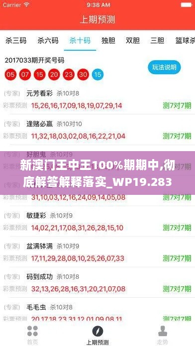 新澳门王中王100%期期中,彻底解答解释落实_WP19.283