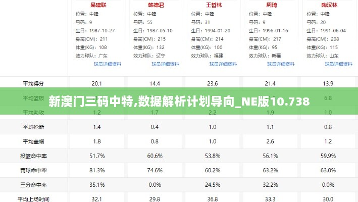 新澳门三码中特,数据解析计划导向_NE版10.738