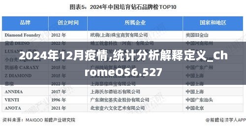 2024年12月疫情,统计分析解释定义_ChromeOS6.527