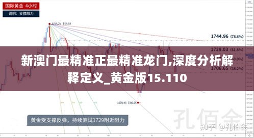 新澳门最精准正最精准龙门,深度分析解释定义_黄金版15.110