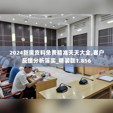 2024新奥资料免费精准天天大全,客户反馈分析落实_精装款1.856