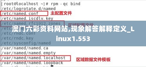 澳门六彩资料网站,现象解答解释定义_Linux1.553