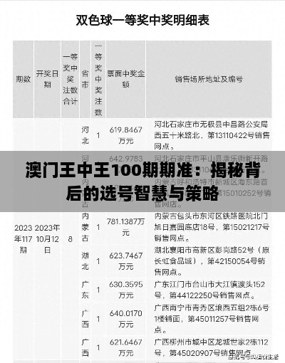 澳门王中王100期期准：揭秘背后的选号智慧与策略