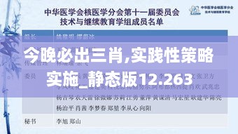 今晚必出三肖,实践性策略实施_静态版12.263