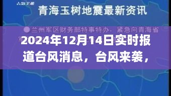 台风来袭，逆风翱翔的励志故事，拥抱变化成就梦想之路