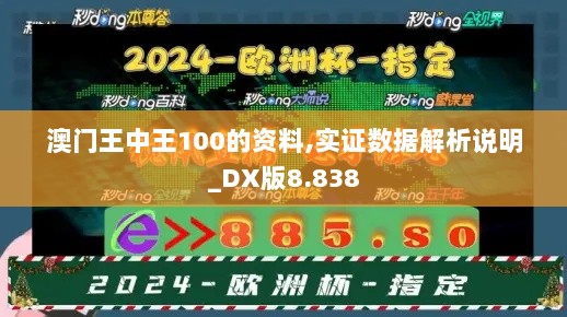 澳门王中王100的资料,实证数据解析说明_DX版8.838