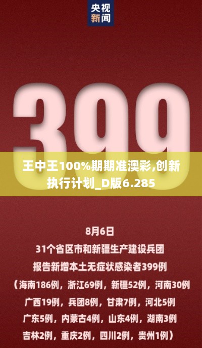 王中王100%期期准澳彩,创新执行计划_D版6.285