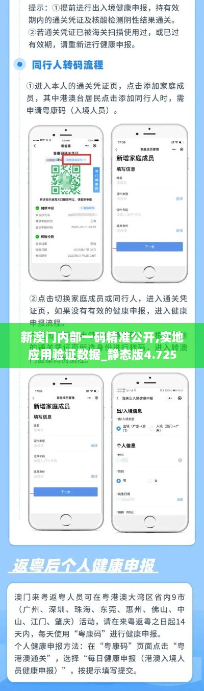 新澳门内部一码精准公开,实地应用验证数据_静态版4.725