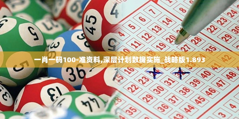 一肖一码100-准资料,深层计划数据实施_战略版1.893