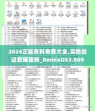 2024正版资料免费大全,实地验证数据策略_RemixOS3.809