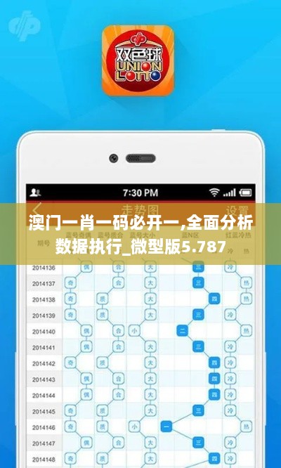 澳门一肖一码必开一,全面分析数据执行_微型版5.787