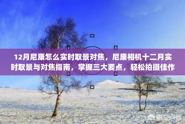 尼康相机十二月实时取景与对焦技巧，三大要点助你轻松拍摄佳作