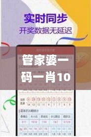 管家婆一码一肖100中奖,连贯性执行方法评估_Phablet2.936