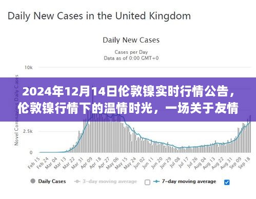 伦敦镍行情下的温情时光，友情与陪伴的奇妙旅程（实时行情公告）