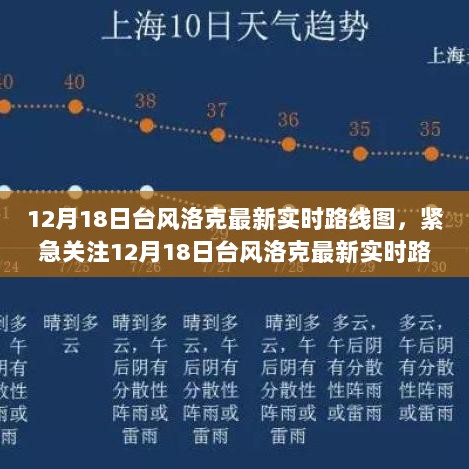 台风洛克最新实时路线图解析，风雨行程全方位预测，紧急关注备战台风洛克来袭！