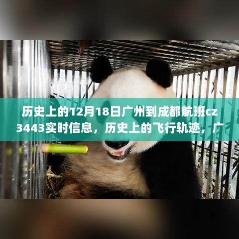 历史上的广州至成都航班CZ3443实时信息回顾，揭秘飞行轨迹的点滴细节