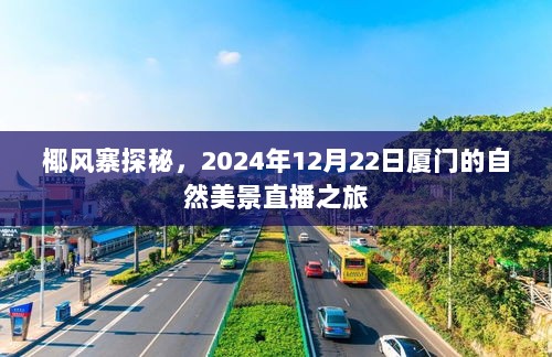 椰风寨探秘，厦门自然美景直播之旅（2024年12月22日）