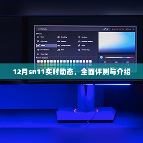 12月sn11实时动态全面评测与介绍