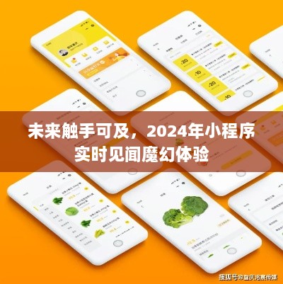 2024小程序实时见闻，未来触手可及，魔幻体验之旅