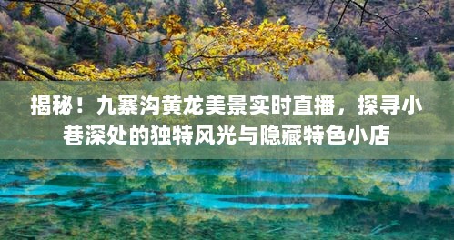 揭秘九寨沟黄龙美景与小巷特色，实时直播探寻风光及隐藏小店