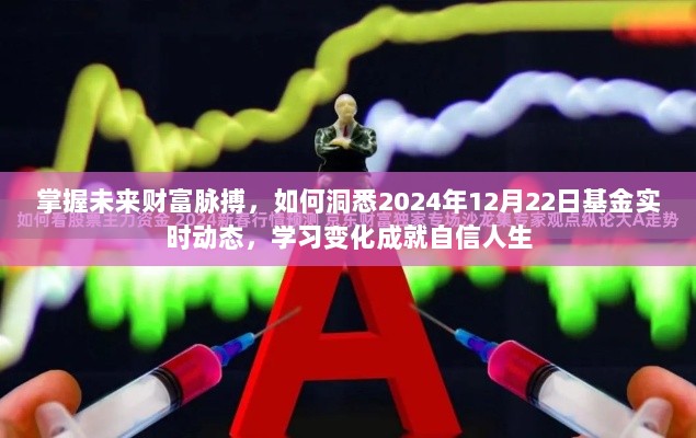 掌握未来财富脉搏，洞悉基金实时动态，学习变化成就自信人生之路——以2024年12月22日为观察点