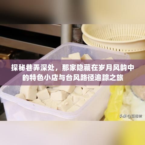 岁月巷弄中的特色小店与台风路径追踪之旅探秘