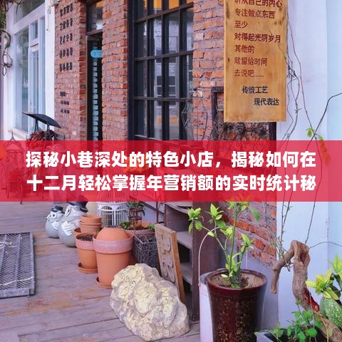 探秘小巷特色小店，揭秘年营销额实时统计秘籍，十二月轻松掌握！