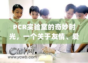 PCR实验室里的友情、爱与陪伴的奇妙时光