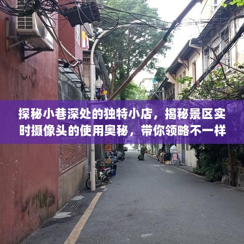 探秘小巷与景区，独特小店与摄像头下的别样风景揭秘