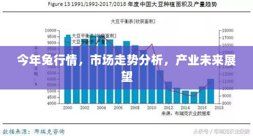 今年兔行情，市场走势分析，产业未来展望