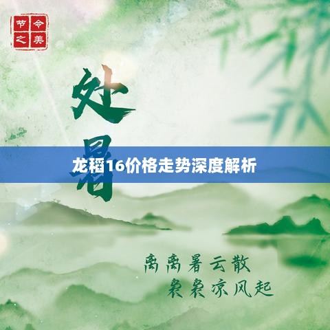 龙稻16价格走势深度解析