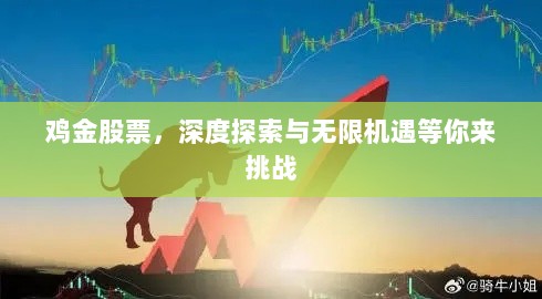 鸡金股票，深度探索与无限机遇等你来挑战