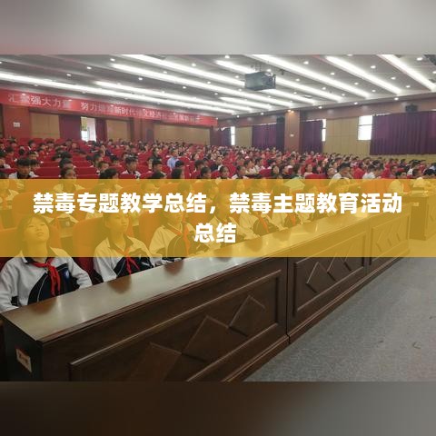 禁毒专题教学总结，禁毒主题教育活动总结 