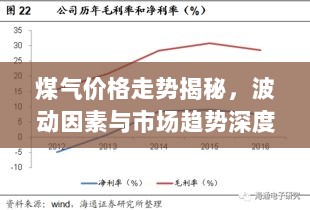 煤气价格走势揭秘，波动因素与市场趋势深度解析